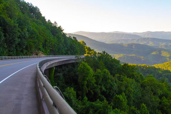 Jeep Tour & Scenic Photo Ops with an Expert Guide in the Smoky Mountains image 4