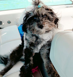 Captain Sissy’s Ultimate Yacht Party with Pole Dancing, Tour of Miami, First Mate Pup, and Pole Instructor Add-on image 9