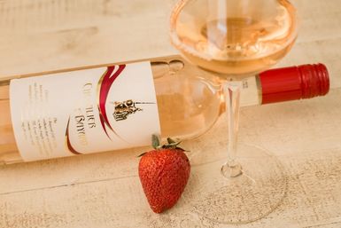 Private In-Home Wine Sampling Experience image 25