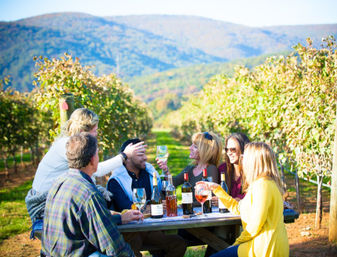 Private In-Home Wine Sampling Experience image 8