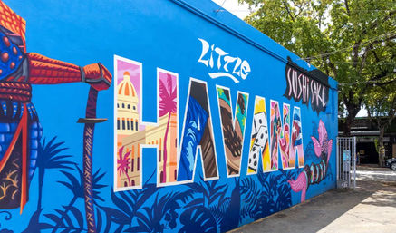 Best of Miami from Fort Lauderdale: Small Group Tour with Return Transport + Guide image 4