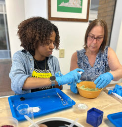 Light It Up: Candle-Making Workshop image 3