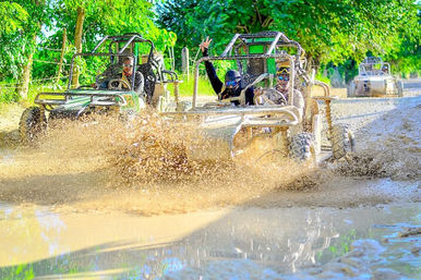 ATV or Buggy Ride, Cenote, Coffee Tasting & Horse Back Riding image 2