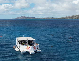 Snorkel with Hawaiian Green Sea Turtles in Maunalua Bay image 3