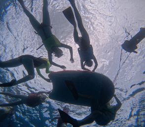 Snorkel with Hawaiian Green Sea Turtles in Maunalua Bay image 7