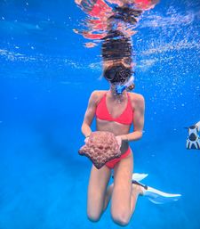 Snorkel with Hawaiian Green Sea Turtles in Maunalua Bay image 2