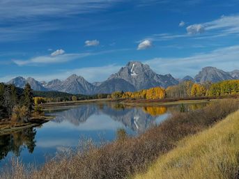 Summer Scenic Safaris: Guided Wildlife Tours in Jackson Hole image 4