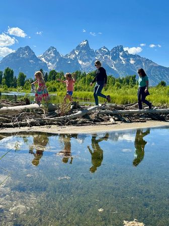 Summer Scenic Safaris: Guided Wildlife Tours in Jackson Hole image 2