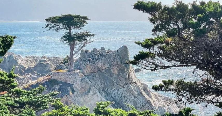 Cruise, Sip & Savor: Carmel E-Bike + Food & Drink Tour image 9