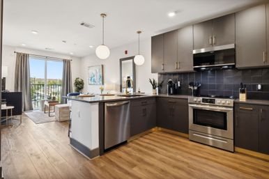 The Muse Downtown Condo: Hotel Style Amenities + Rooftop Views image 25