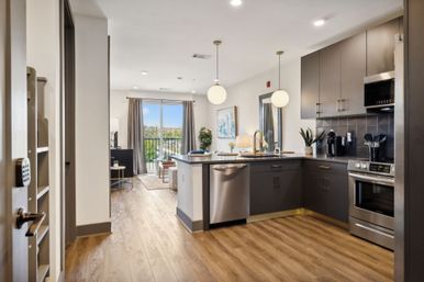 The Muse Downtown Condo: Hotel Style Amenities + Rooftop Views image 23