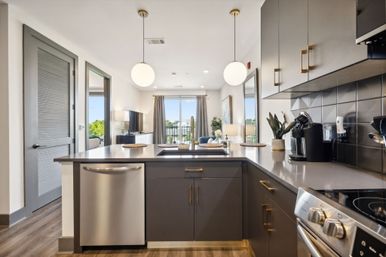 The Muse Downtown Condo: Hotel Style Amenities + Rooftop Views image 28