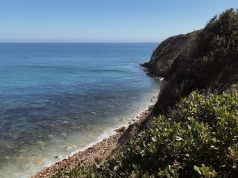 Private Vintage Hippie Wine Tasting Tour to Malibu image 7