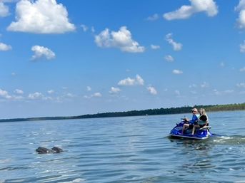 Private Jet Ski Tour in Orange Beach image 4