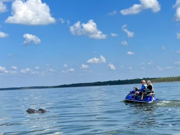 Private Jet Ski Tour in Orange Beach image 4