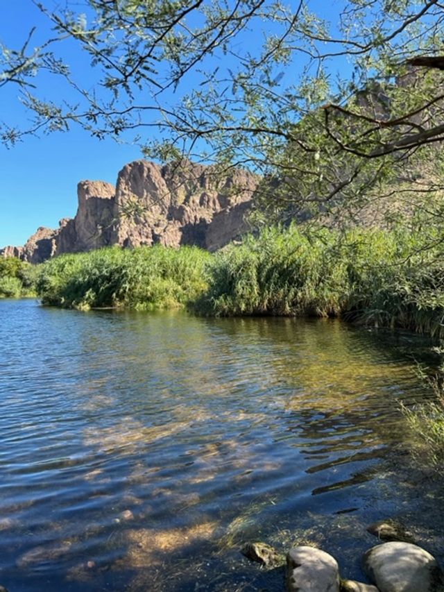 Kayak/Tandem Tour of the Beautiful Salt River with Transportation (Groups Up to 12) image 3