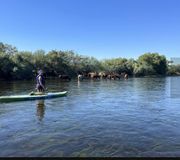 Thumbnail image for Kayak/Tandem Tour of the Beautiful Salt River with Transportation (Groups Up to 12)