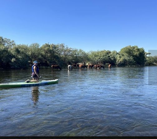 Kayak/Tandem Tour of the Beautiful Salt River with Transportation (Groups Up to 12) image 1