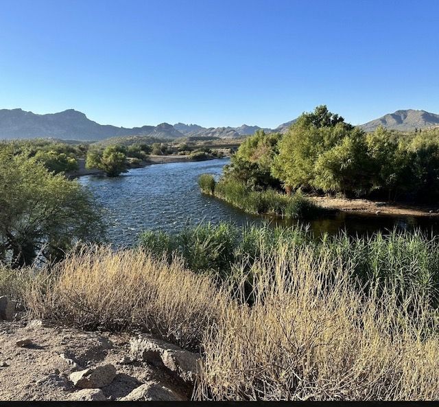 Kayak/Tandem Tour of the Beautiful Salt River with Transportation (Groups Up to 12) image 5