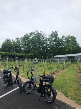 E-Bike Tour Through Traverse City Wine Country image 20