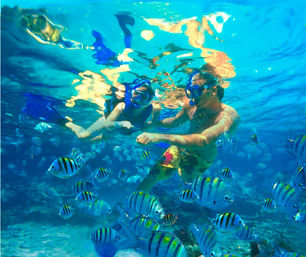 Tours & Adventures in Cabo: Sailing, Snorkeling, Ziplining, Mountain Biking & More image 12