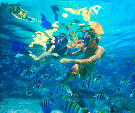 Tours & Adventures in Cabo: Sailing, Snorkeling, Ziplining, Mountain Biking & More image 12