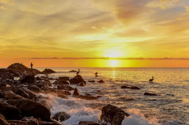 Tours & Adventures in Cabo: Sailing, Snorkeling, Ziplining, Mountain Biking & More image 9