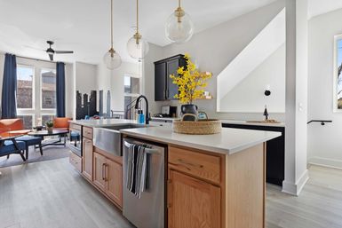 The Camellia: Rooftop Patio and Dog Friendly Home image 23