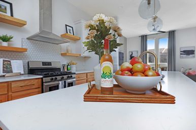 The Camellia: Rooftop Patio and Dog Friendly Home image 22
