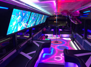 Puerto Rico's Ultimate Bach Party Bus Adventure image 2