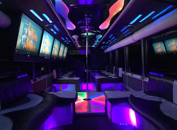 Puerto Rico's Ultimate Bach Party Bus Adventure image 4