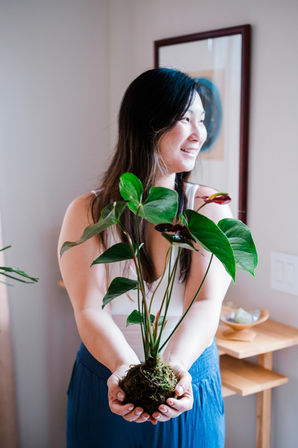Discover the Art of Kokedama: Japanese 'Moss Ball' Workshop image 6