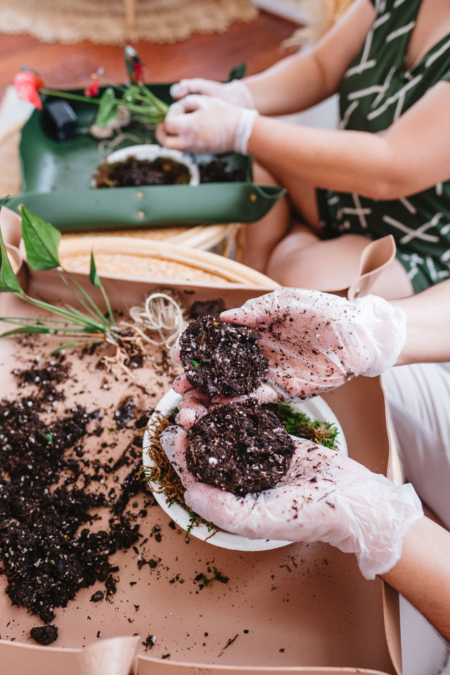 Discover the Art of Kokedama: Japanese 'Moss Ball' Workshop image 3