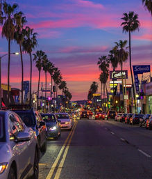 Private Tour of LA: Explore Hollywood Boulevard, Beverly Hills & Other Hot Spots image 11
