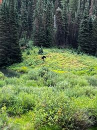 Private Half-Day Tour: Drive & Hike Salt Lake's Best Canyons image 7