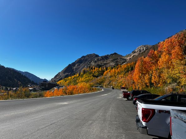 Private Half-Day Tour: Drive & Hike Salt Lake's Best Canyons image 1