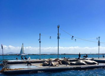 Adventure on the Bay: Group Speedboat Tour Where You're the Captain image 12