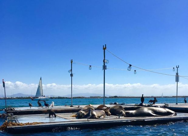 Adventure on the Bay: Group Speedboat Tour Where You're the Captain image 12