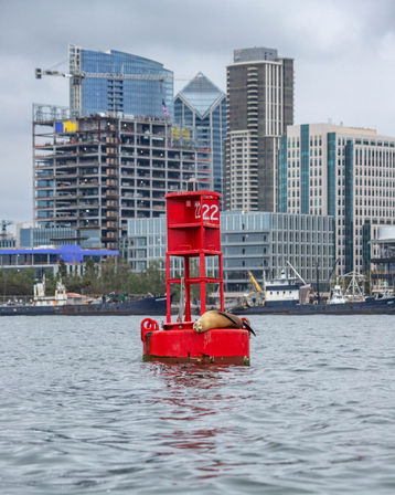 Adventure on the Bay: Group Speedboat Tour Where You're the Captain image 11