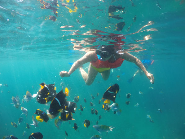 Luxury Sailing & Snorkeling on a 50ft Beneteau Sailboat with Lunch & Open Bar (Up to 16 Passengers) image 14