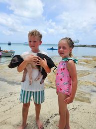 Private Full Day Adventure: Cruise the Cays, Swim with Turtles & Relax on the Beach image 19