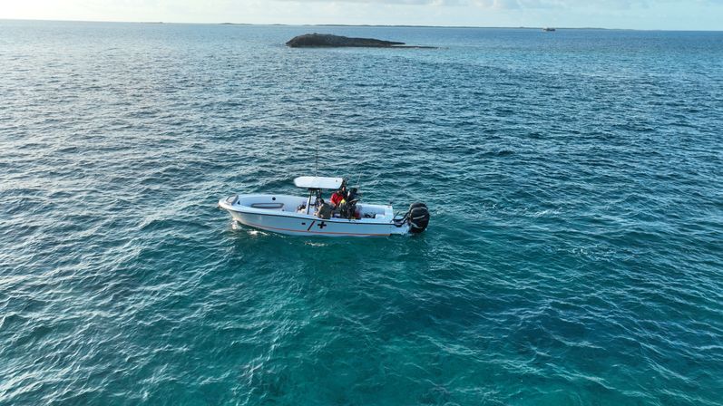 Private Full Day Adventure: Cruise the Cays, Swim with Turtles & Relax on the Beach image 42