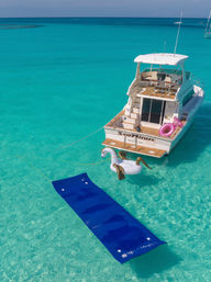 Private Full Day Adventure: Cruise the Cays, Swim with Turtles & Relax on the Beach image 7