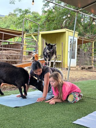 Private Goat Yoga Party & Ranch Experience with Mini-Goats image 6