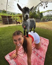 Private Goat Yoga Party & Ranch Experience with Mini-Goats image