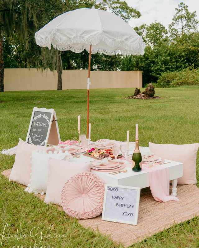 Luxury Picnics Reimagined with Games, Speakers, and Custom Decor image 4