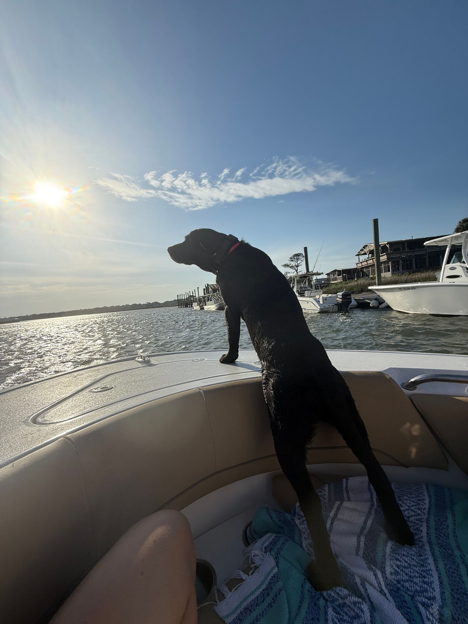Fun in the Sun Boat Charter: Experience Charleston from the Water image 2