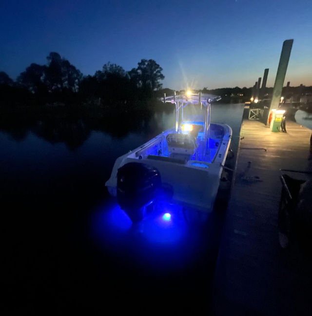 Fun in the Sun Boat Charter: Experience Charleston from the Water image 4