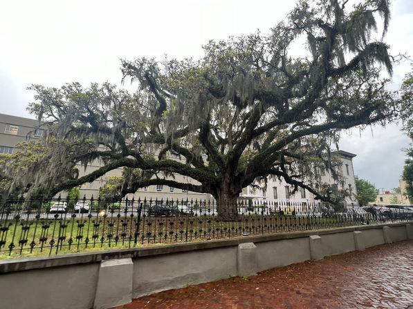Bride's Last Ride: Private Ghost Tour through Savannah's Haunted Streets image 11
