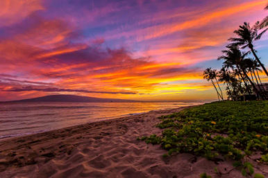 Sunrise Tour: Oʻahu Sunrise & Photography Tour image 2